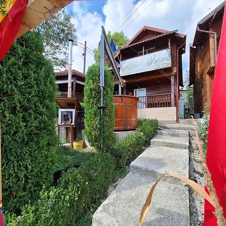 Casa Diana Villa Nucsoara  Bagian luar foto