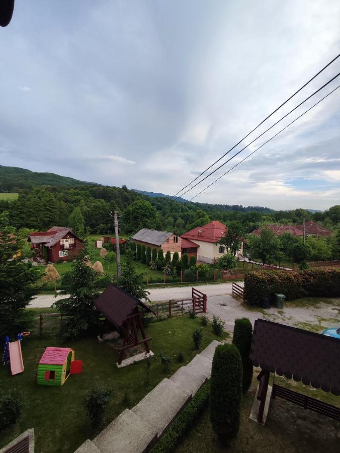 Casa Diana Villa Nucsoara  Bagian luar foto